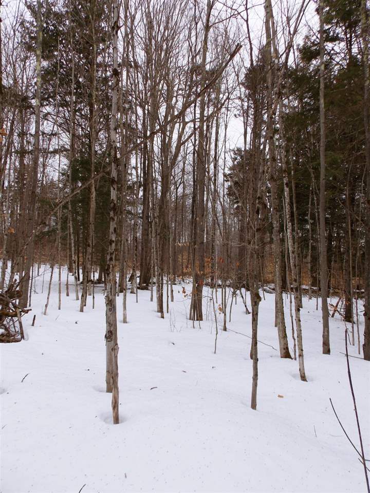 - Carter Road Lowell, VT 05847 - Photo 22 of 25 Gallery Image 22