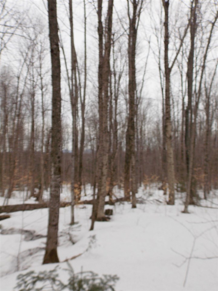 - Carter Road Lowell, VT 05847 - Photo 23 of 25 Gallery Image 23