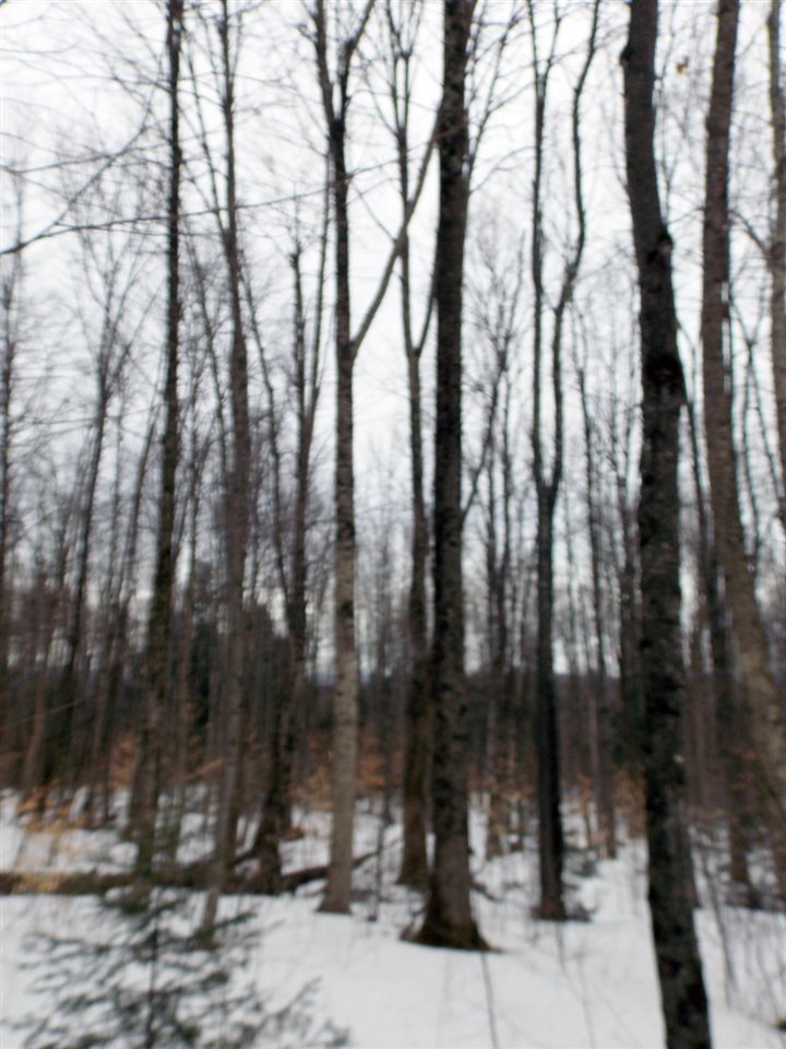 - Carter Road Lowell, VT 05847 - Photo 24 of 25 Gallery Image 24