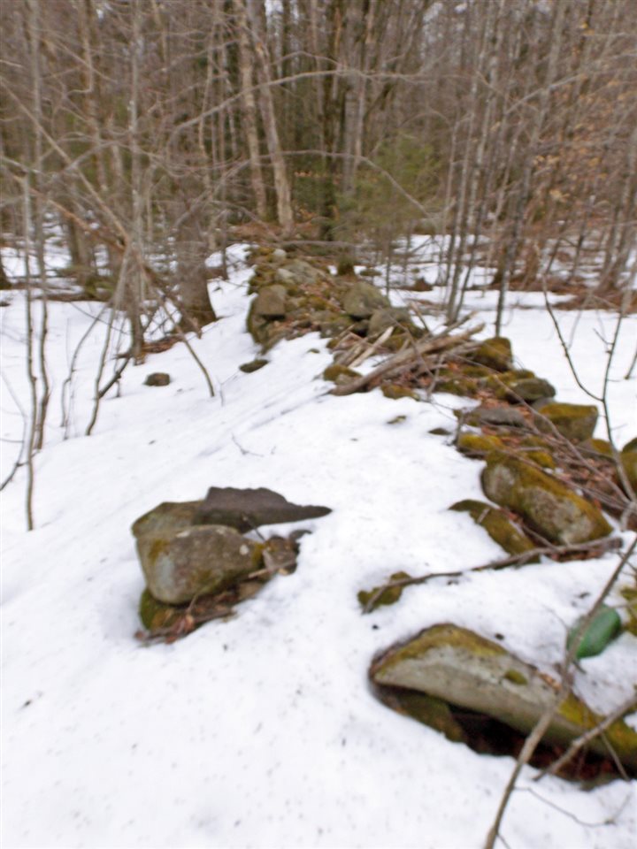 - Carter Road Lowell, VT 05847 - Photo 25 of 25 Gallery Image 25