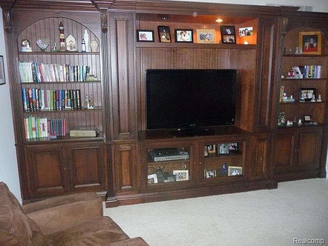 24933 Reeds Pointe Drive, Unit 9 Novi, MI 48374 - Photo 11 of 20 CUSTOM ENTRMENT CENTER