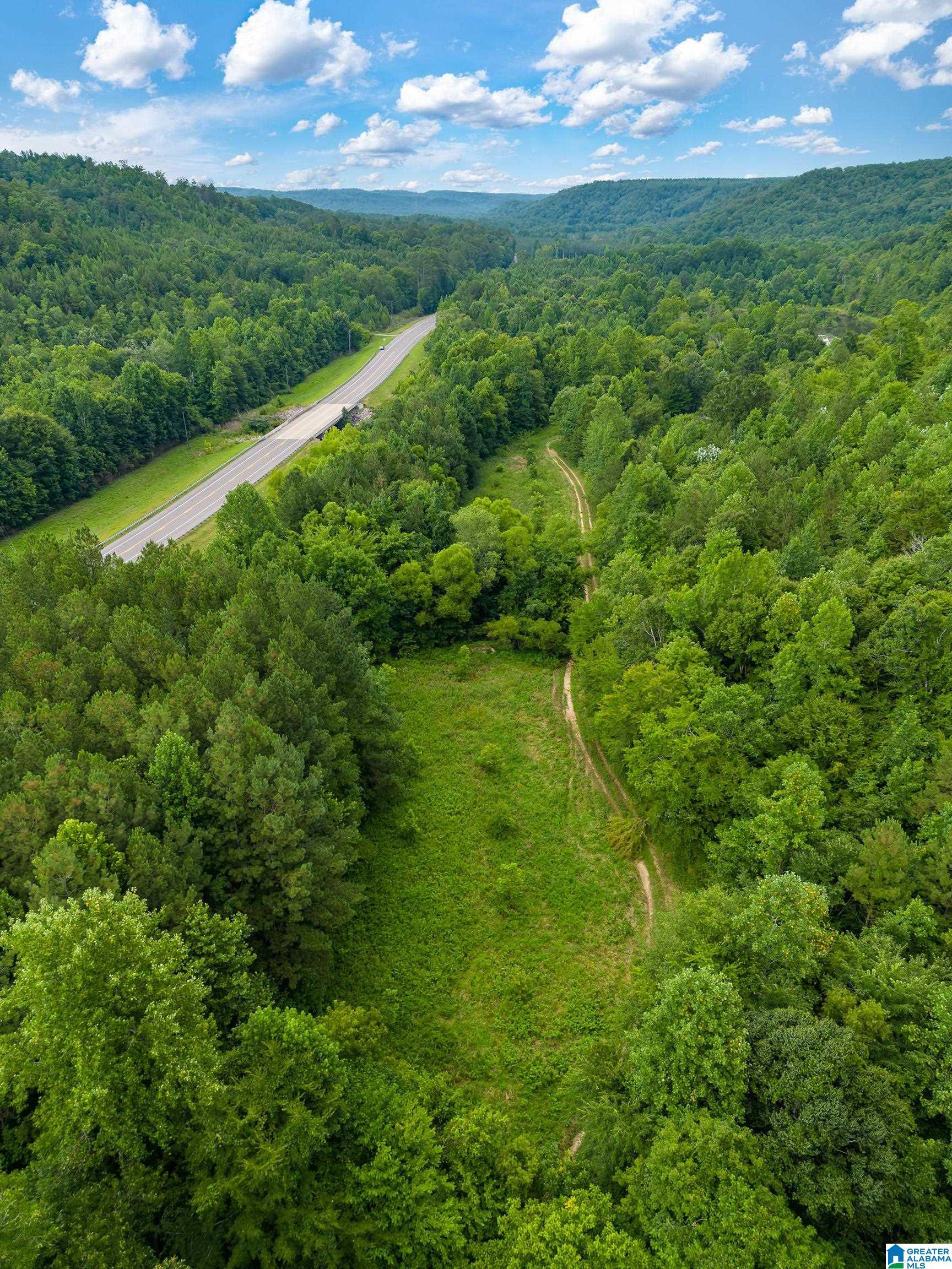 81 Frozen Hollow Road, Unit 32 Carbon Hill, AL 35549 - Photo 39 of 42