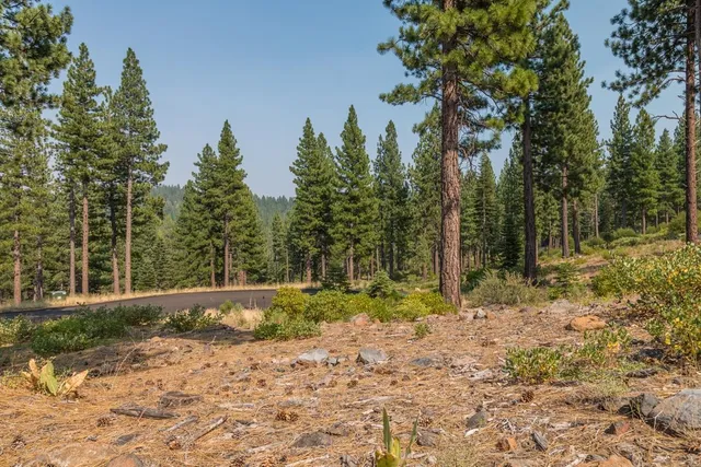 a big yard with lots of green space and trees