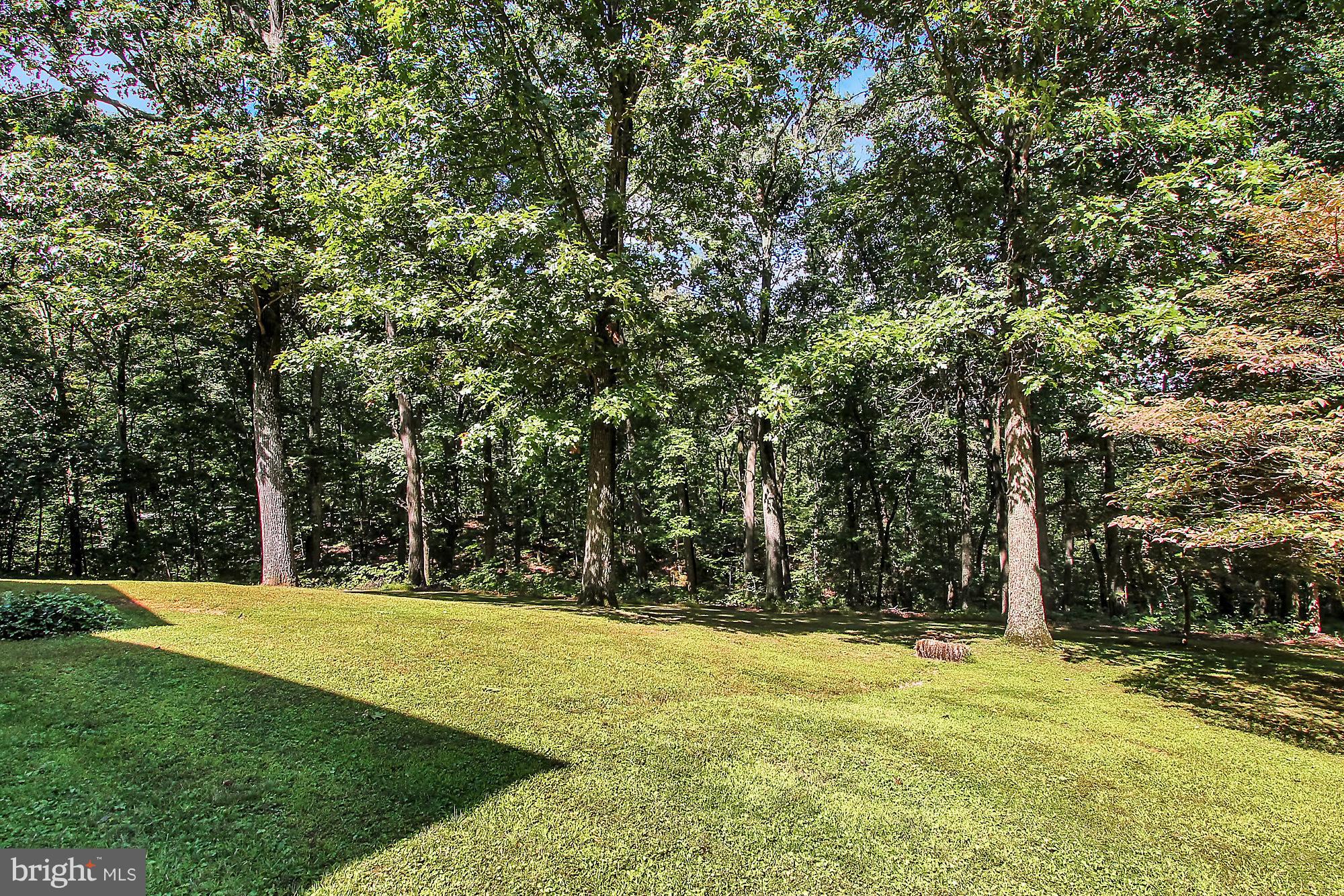 2051 Neal Road Pylesville, MD 21132 - Photo 23 of 29 Exterior (General)