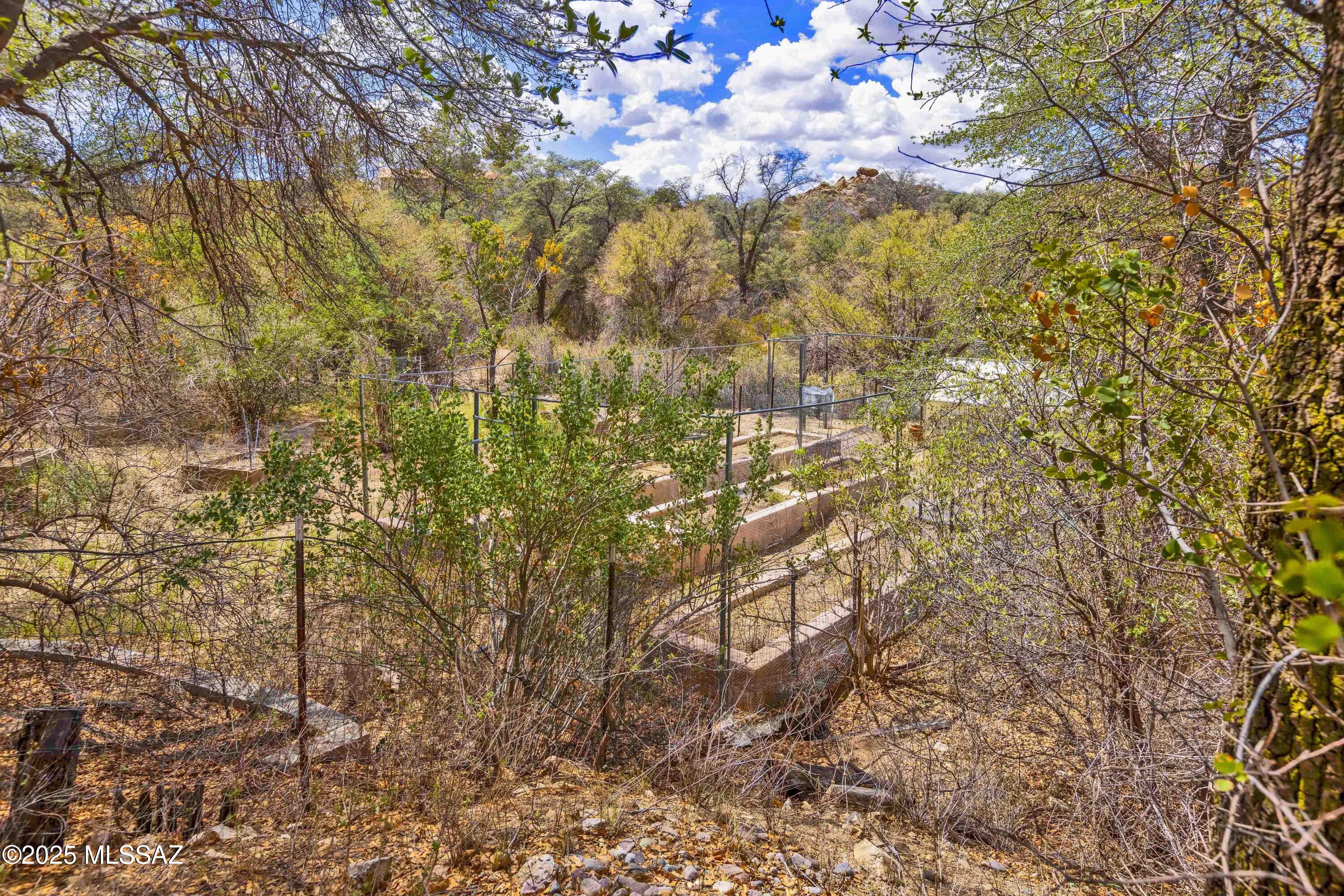 117 South Hobe Road Oracle, AZ 85623 - Photo 8 of 51