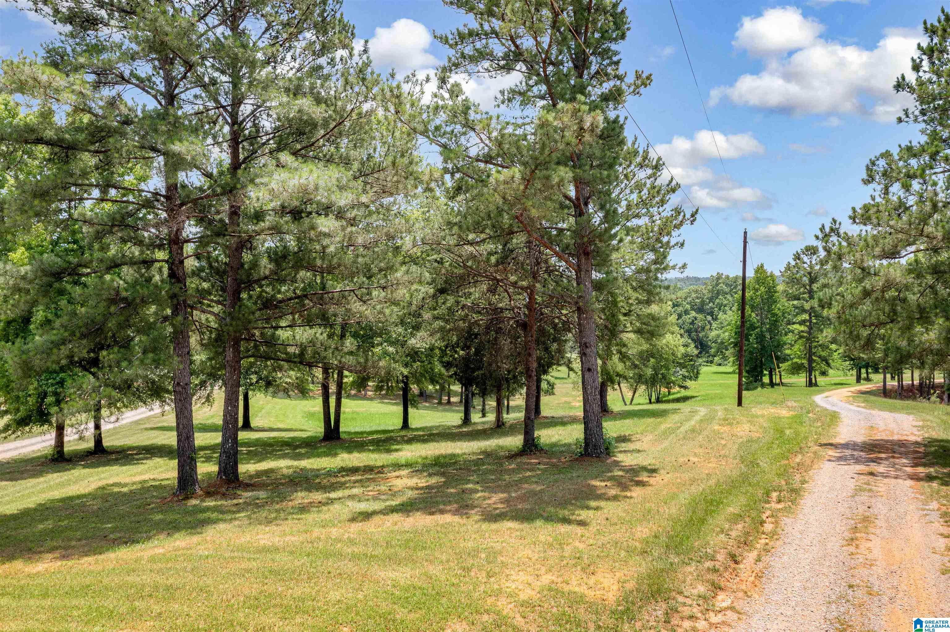 0 Hurricane Valley Road, Unit 1 Brookwood, AL 35444 - Photo 18 of 24
