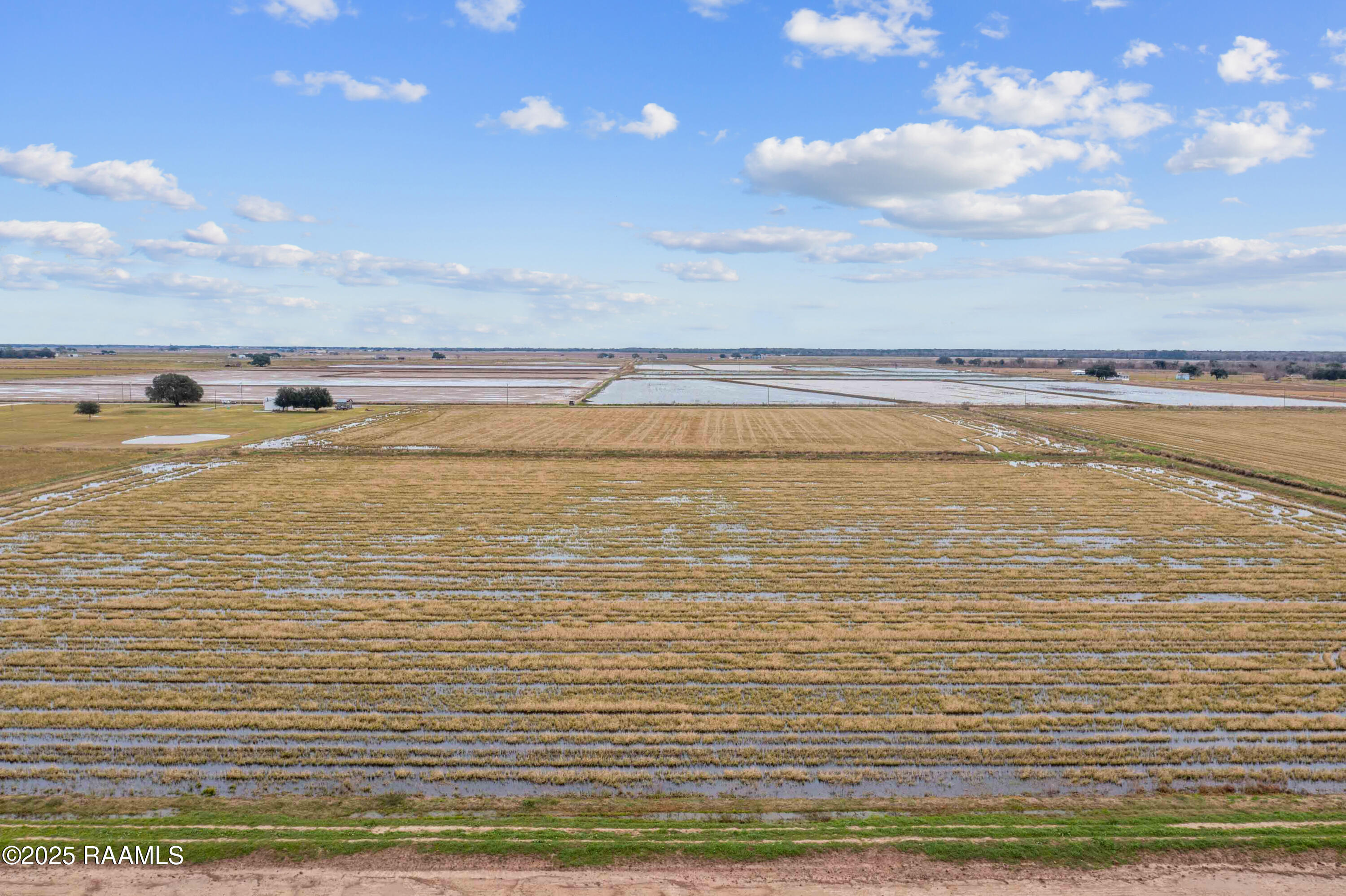 0 Vincent Road Morse, LA 70559 - Photo 7 of 12 TBDMermentauCove(23)-12