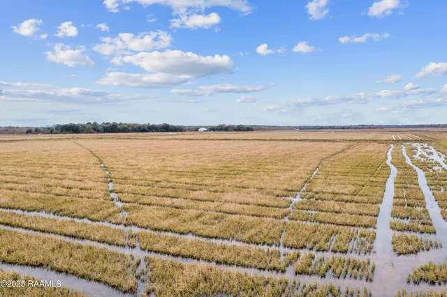 $185,000 | 0 Vincent Road, Morse, LA 70559