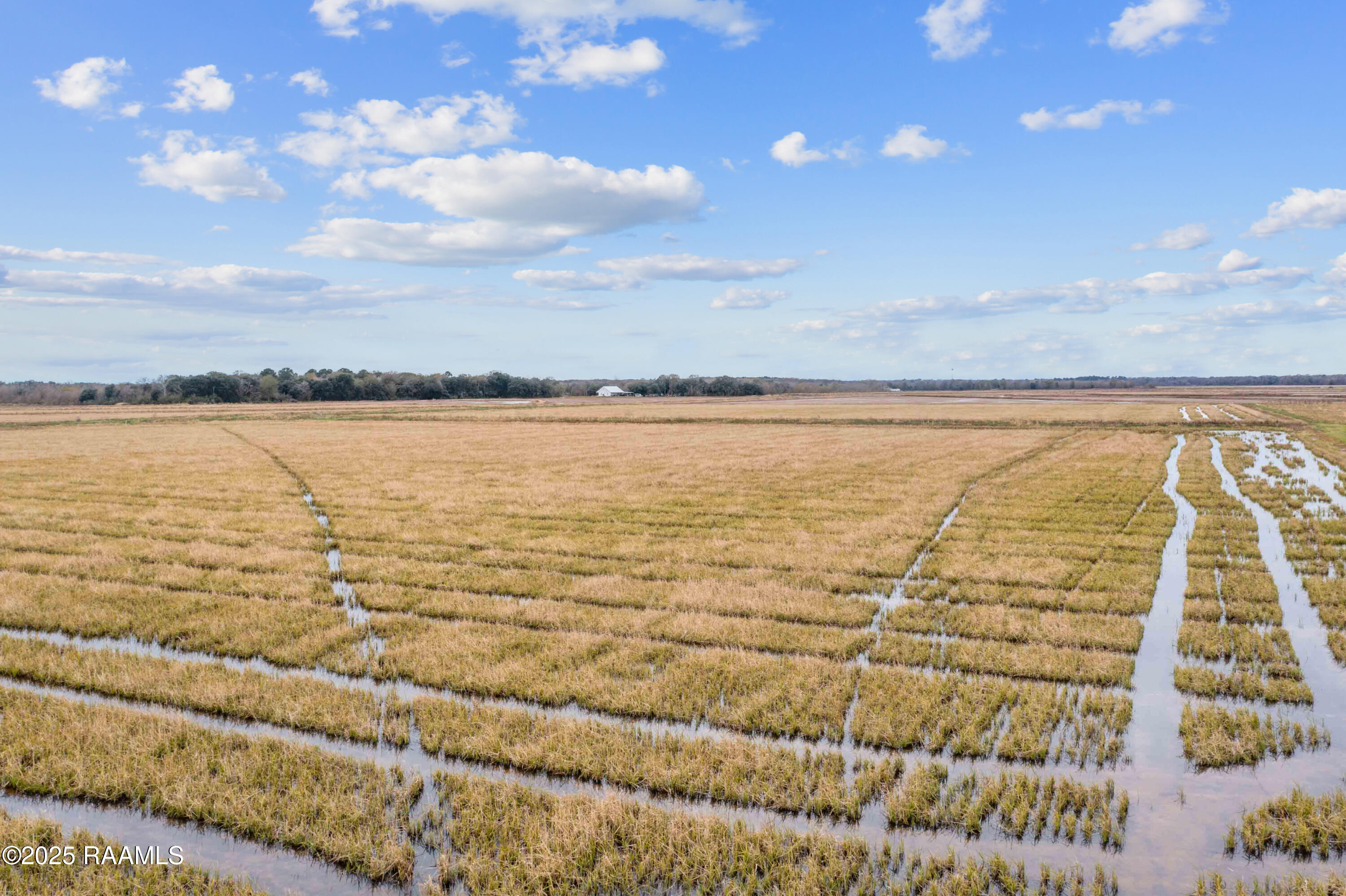 0 Vincent Road Morse, LA 70559 - Photo 10 of 12 TBDMermentauCove(23)-15