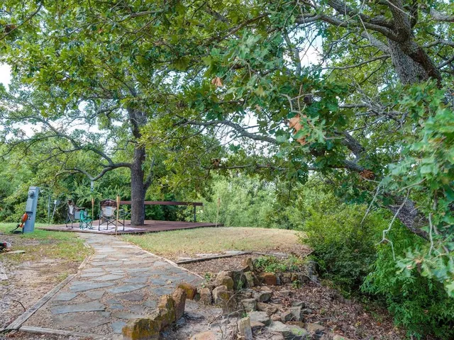 a view of a yard with plants and trees