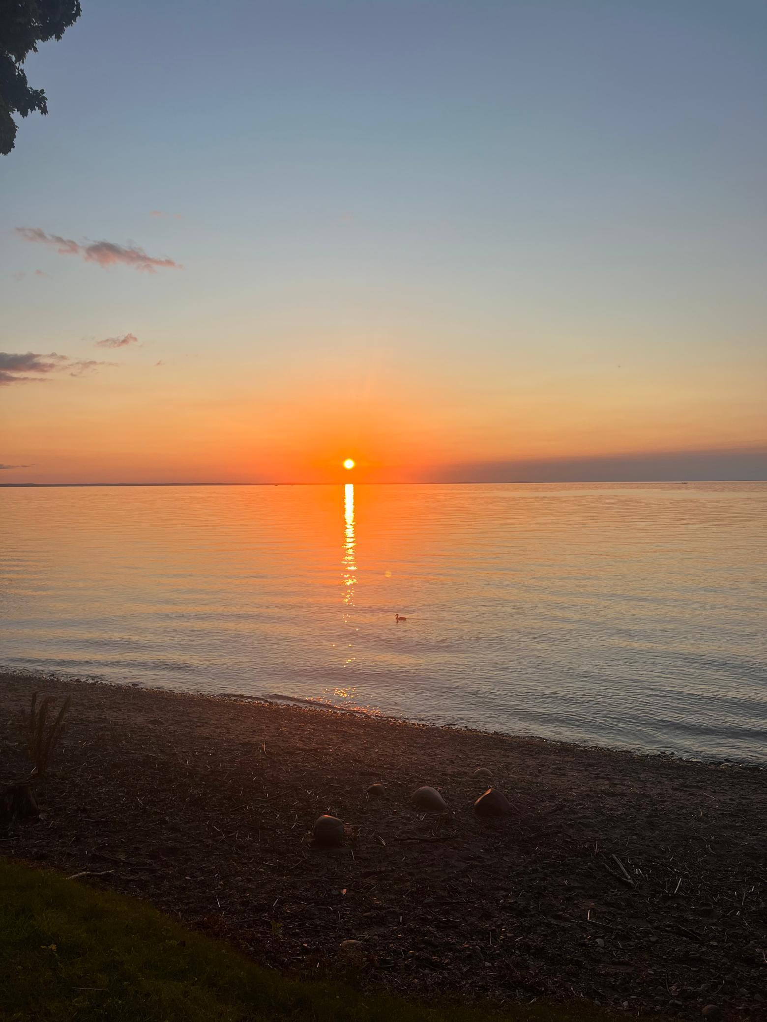 8536 Tuxedo Road Onamia, MN 56359 - Photo 39 of 50