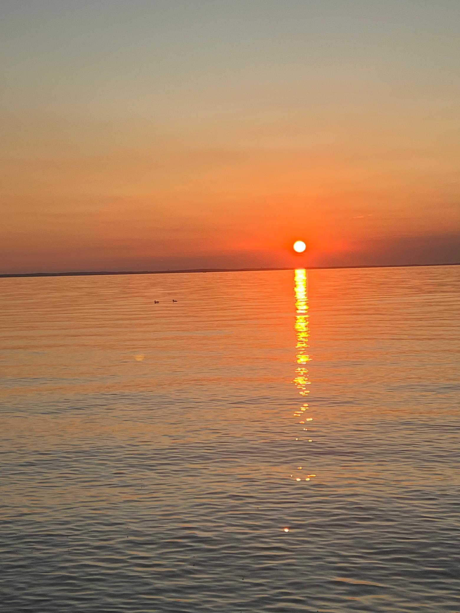 8536 Tuxedo Road Onamia, MN 56359 - Photo 40 of 50