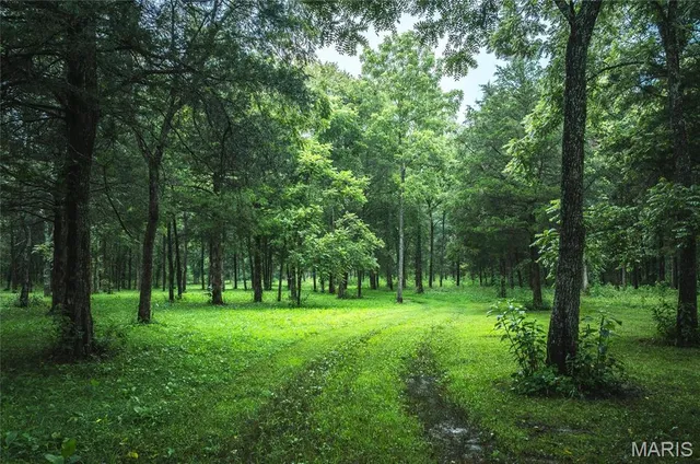 $599,900 | 0 County Road 7250, Newburg, MO 65550