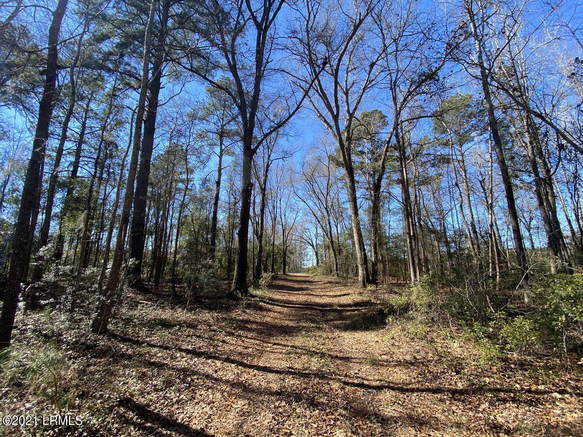 200 County Rd S-25-384 Brunson, SC 29911 - Photo 12 of 50 12