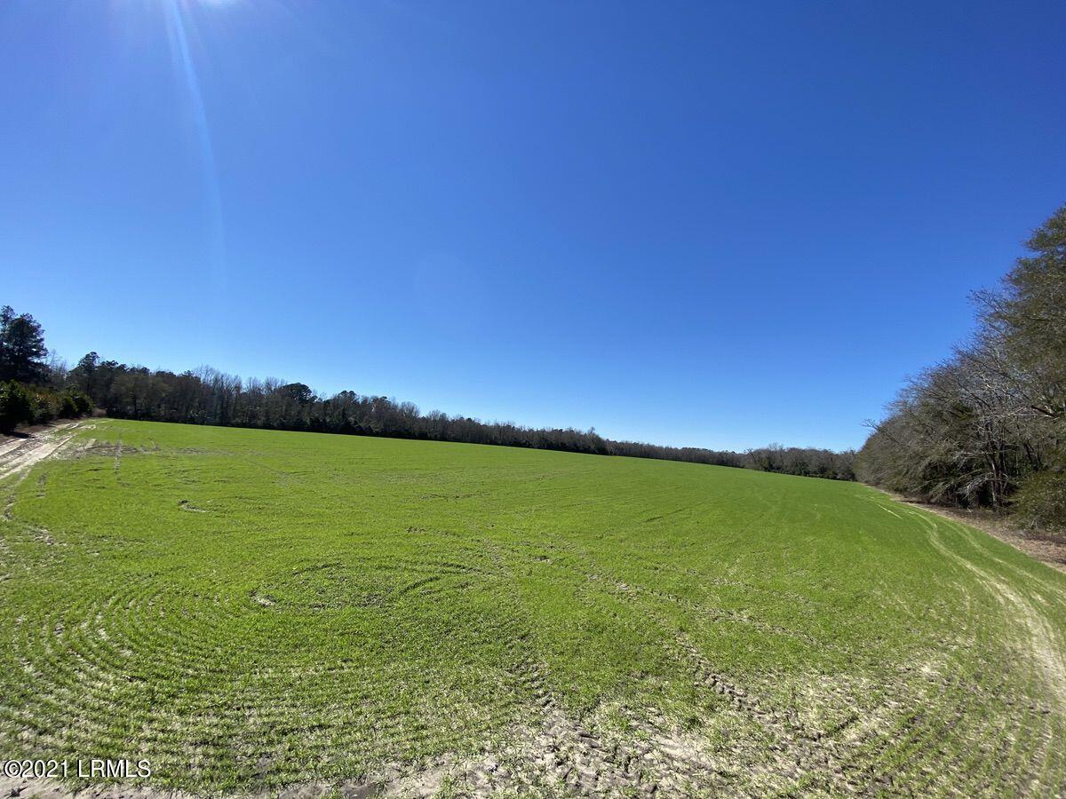 200 County Rd S-25-384 Brunson, SC 29911 - Photo 14 of 50 14