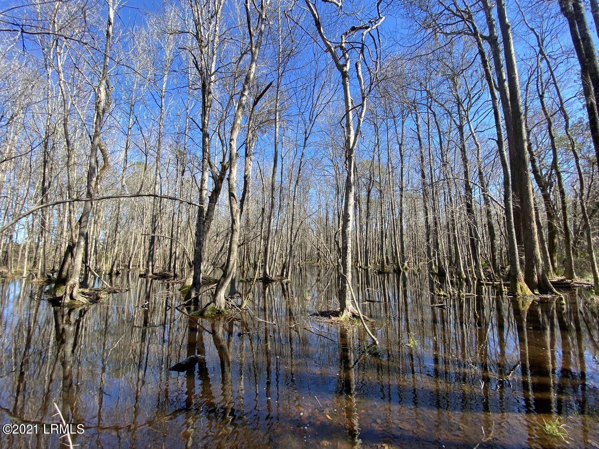 200 County Rd S-25-384 Brunson, SC 29911 - Photo 23 of 50 IMG_3185