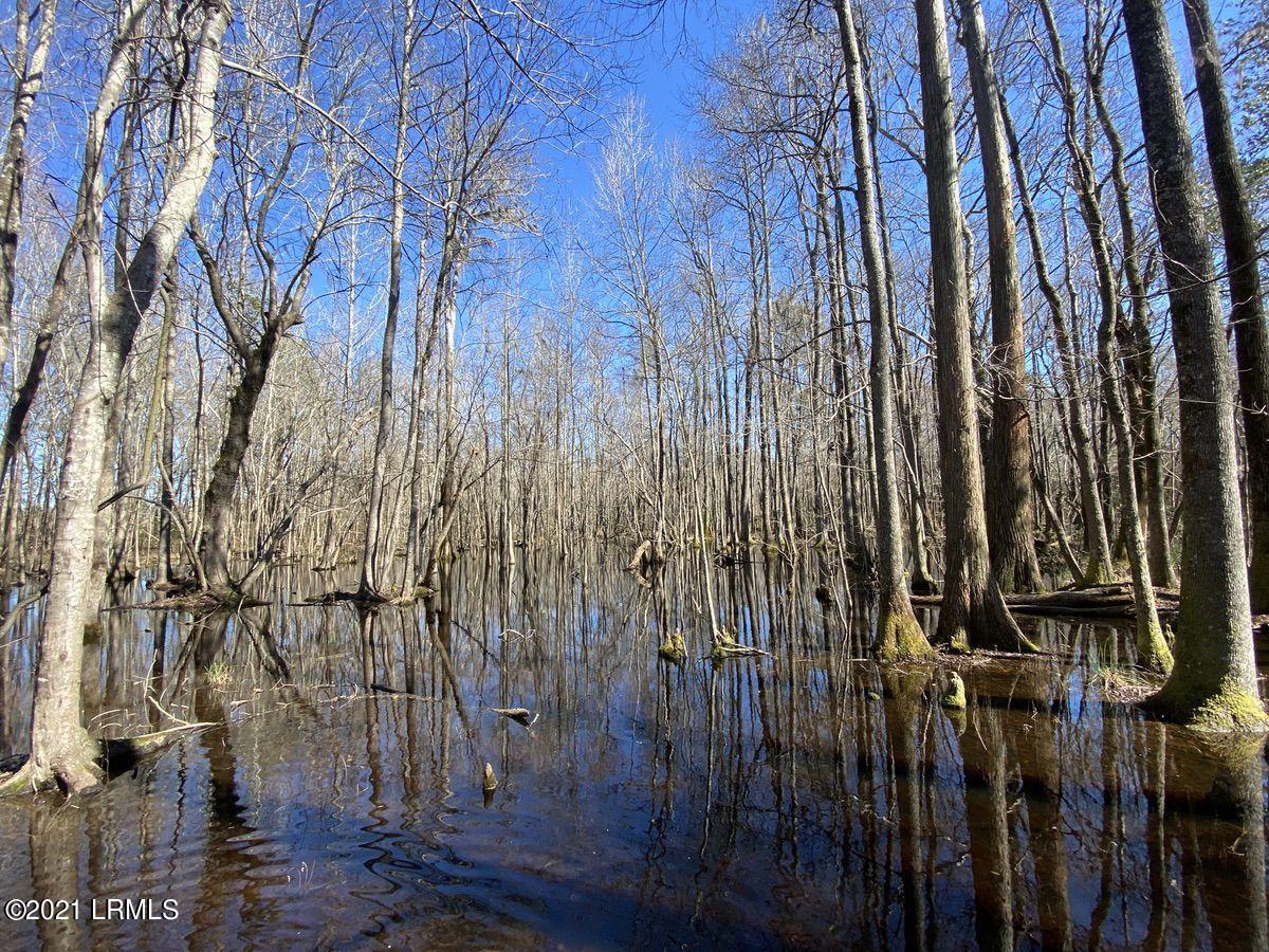 200 County Rd S-25-384 Brunson, SC 29911 - Photo 25 of 50 IMG_3189