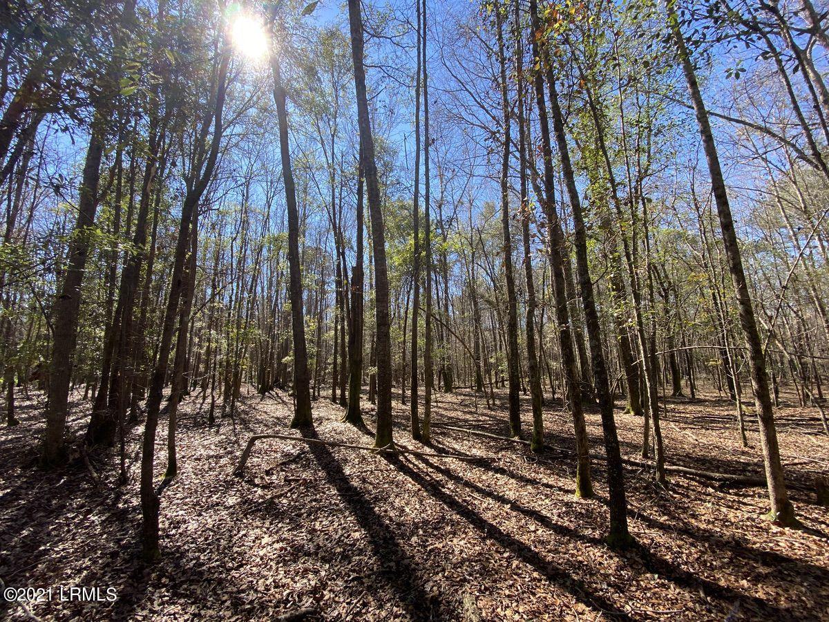 200 County Rd S-25-384 Brunson, SC 29911 - Photo 27 of 50 IMG_3198