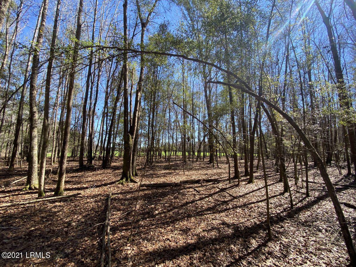 200 County Rd S-25-384 Brunson, SC 29911 - Photo 28 of 50 IMG_3201