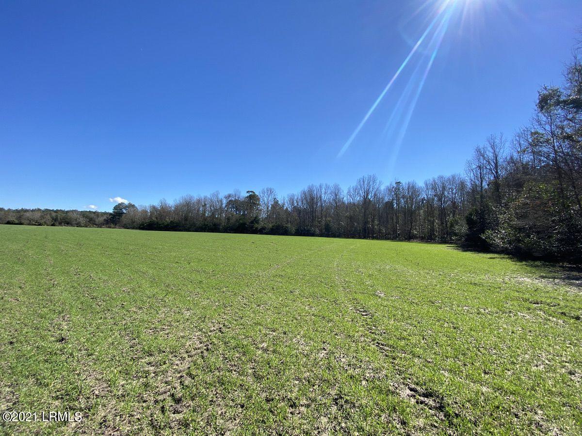 200 County Rd S-25-384 Brunson, SC 29911 - Photo 29 of 50 IMG_3211