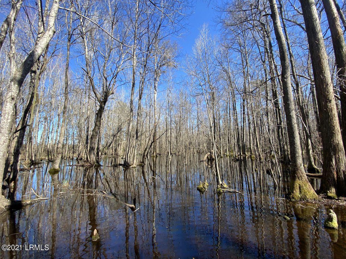 200 County Rd S-25-384 Brunson, SC 29911 - Photo 3 of 50 03