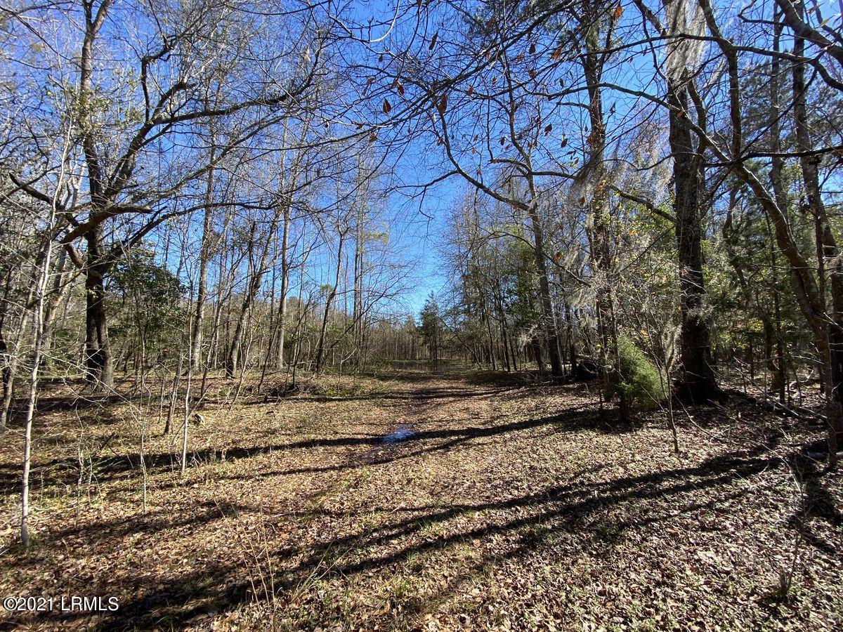 200 County Rd S-25-384 Brunson, SC 29911 - Photo 36 of 50 IMG_3261