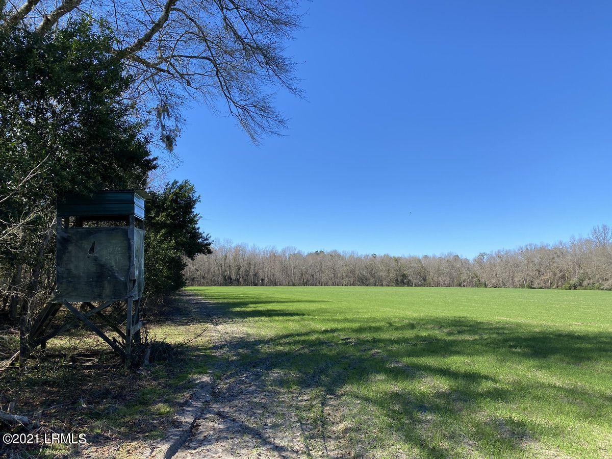 200 County Rd S-25-384 Brunson, SC 29911 - Photo 4 of 50 04