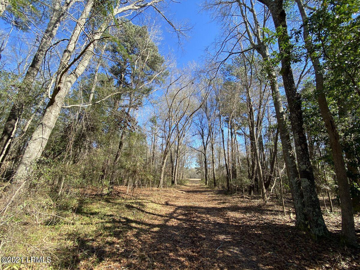 200 County Rd S-25-384 Brunson, SC 29911 - Photo 41 of 50 IMG_3291