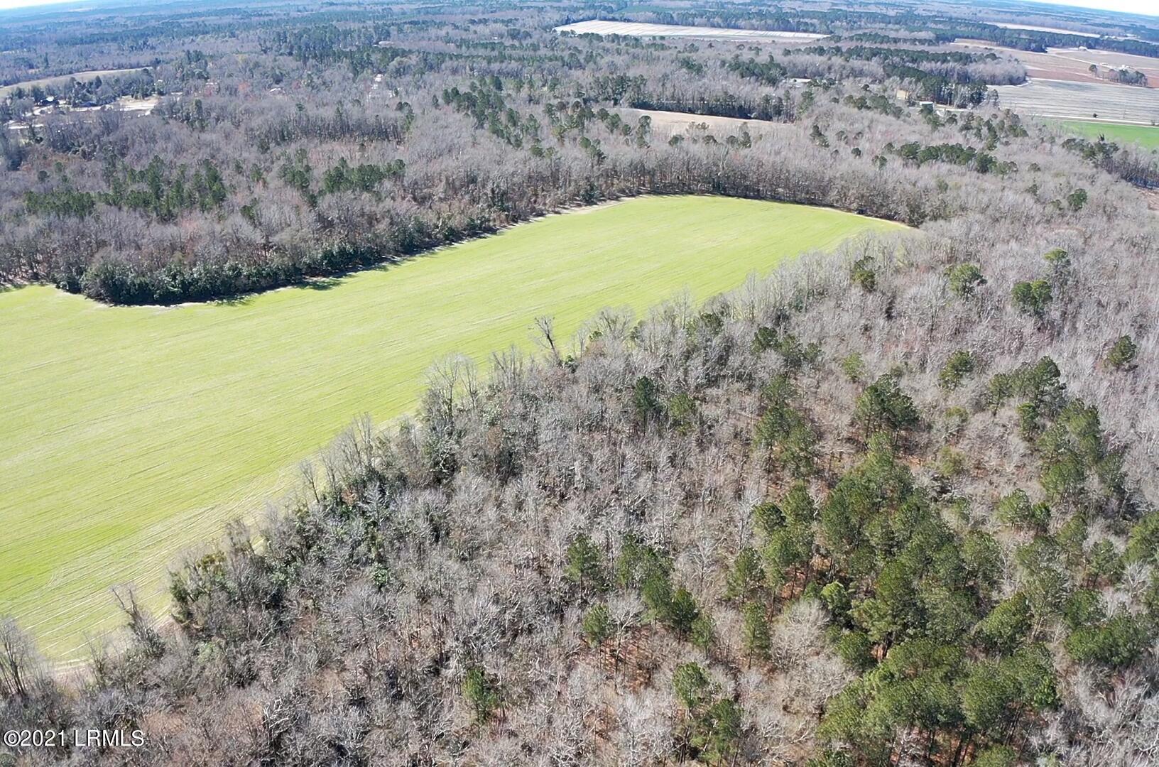 200 County Rd S-25-384 Brunson, SC 29911 - Photo 48 of 50 IMG_3160
