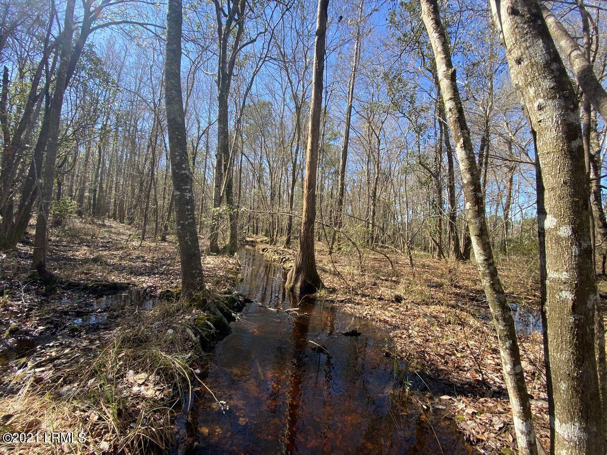 200 County Rd S-25-384 Brunson, SC 29911 - Photo 5 of 50 05