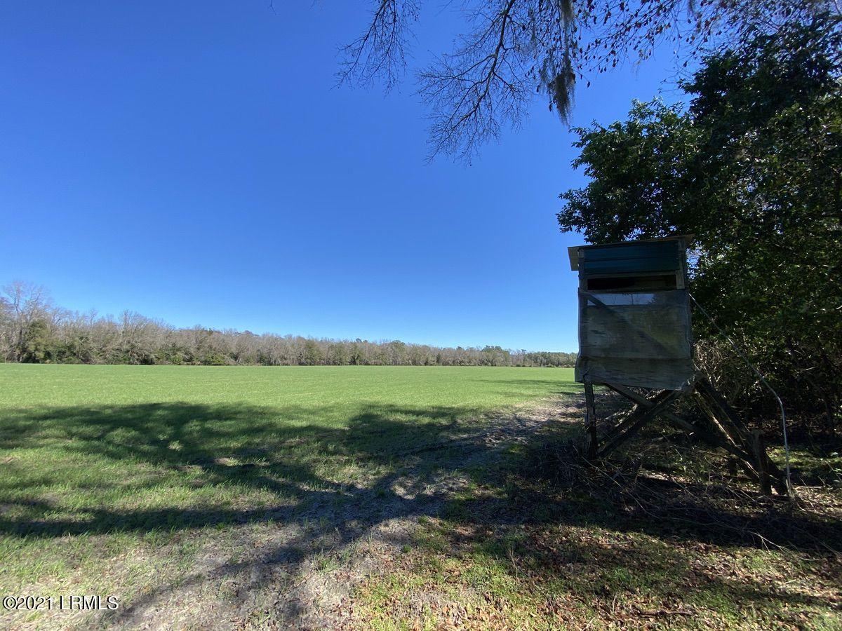 200 County Rd S-25-384 Brunson, SC 29911 - Photo 7 of 50 07