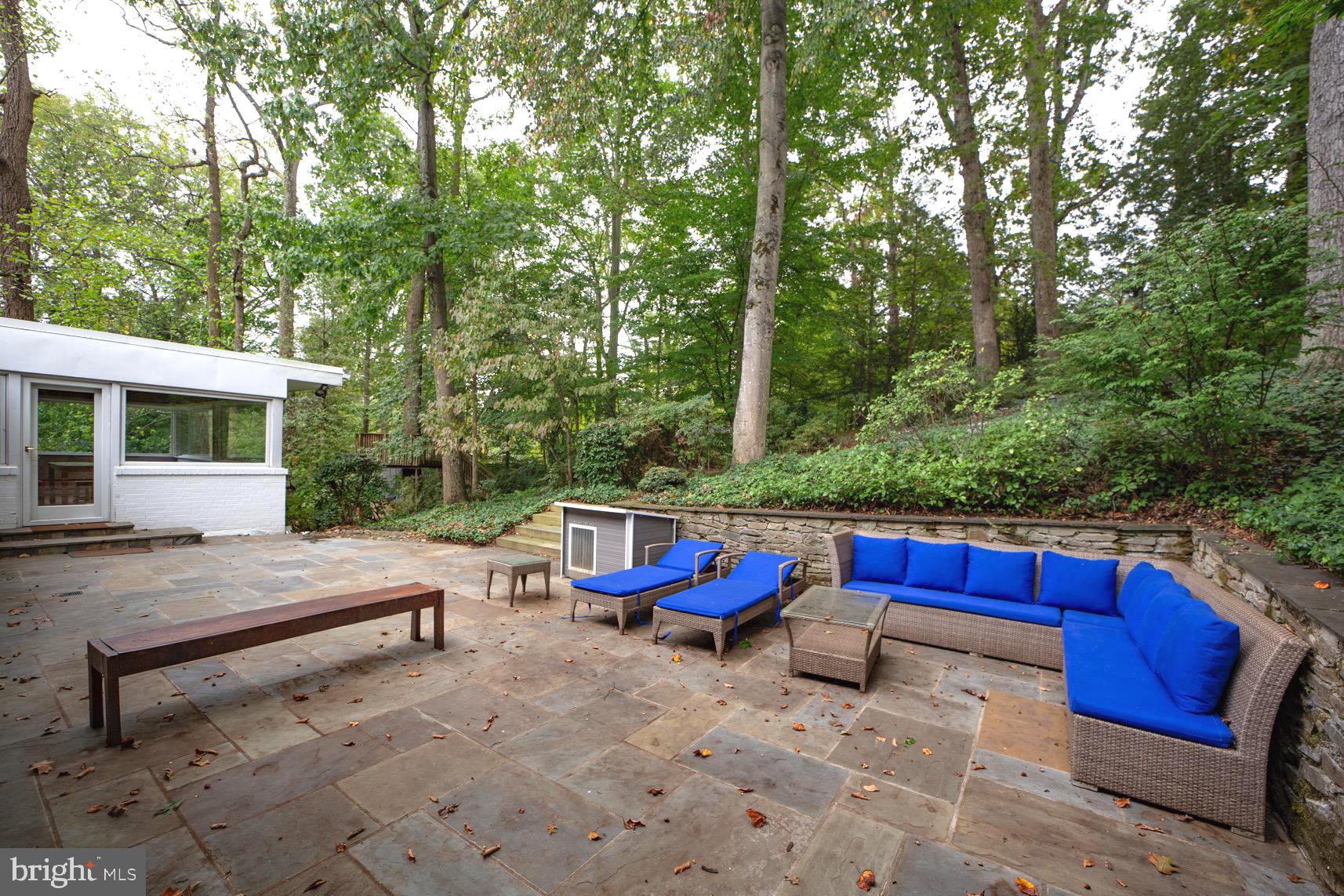 2824 Ellicott Street Northwest Washington, DC 20008 - Photo 24 of 47 a view of backyard with outdoor seating and trees