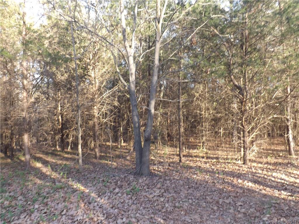 6024 White Store Road Wingate, NC 28174 - Photo 24 of 24