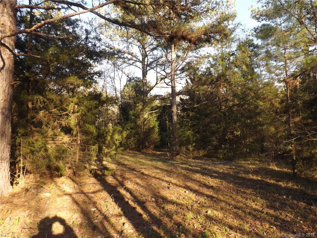 6024 White Store Road Wingate, NC 28174 - Photo 9 of 24