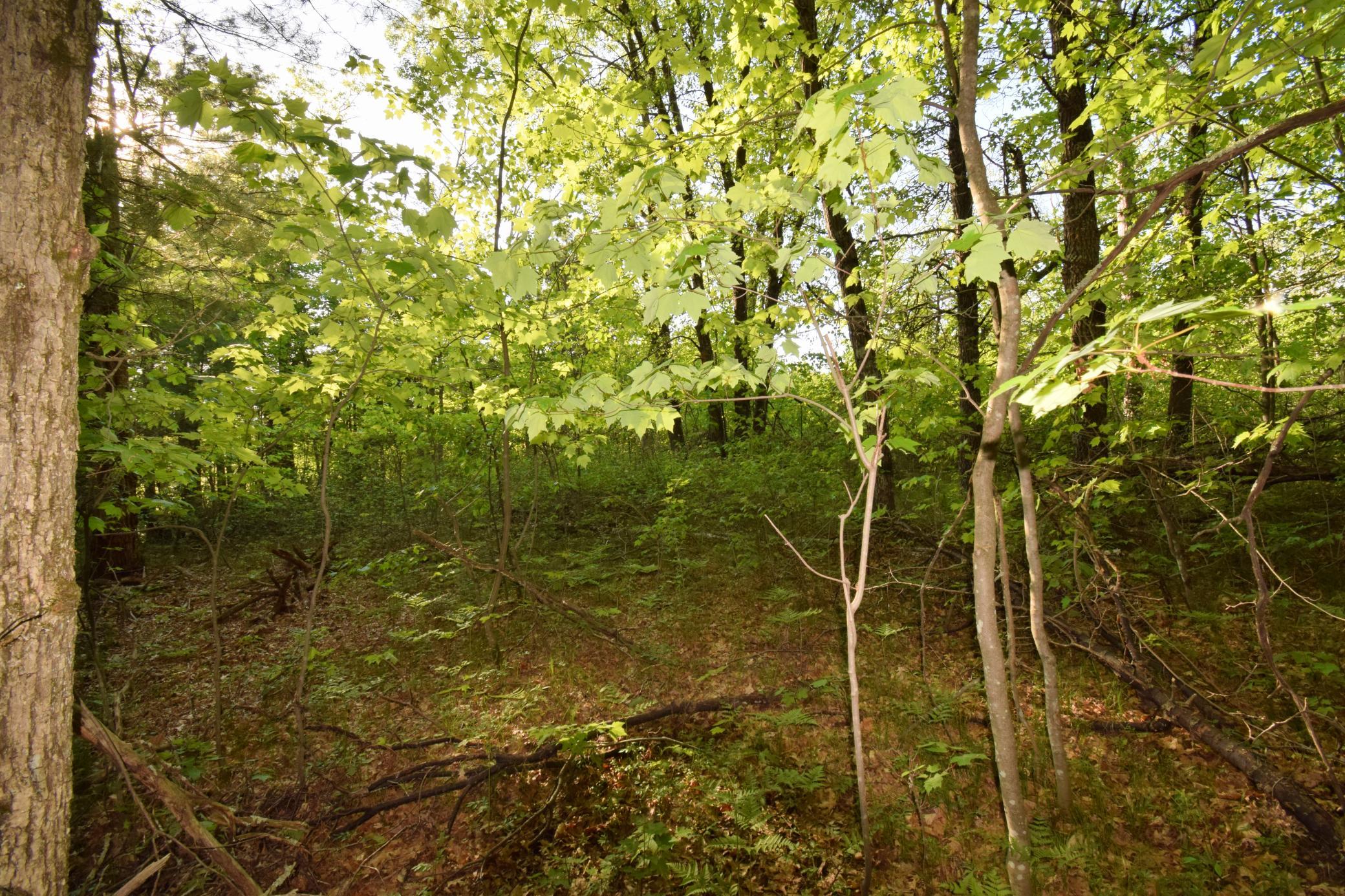 Lot 31 Setting Sun Trail Way Danbury, WI 54830 - Photo 12 of 19