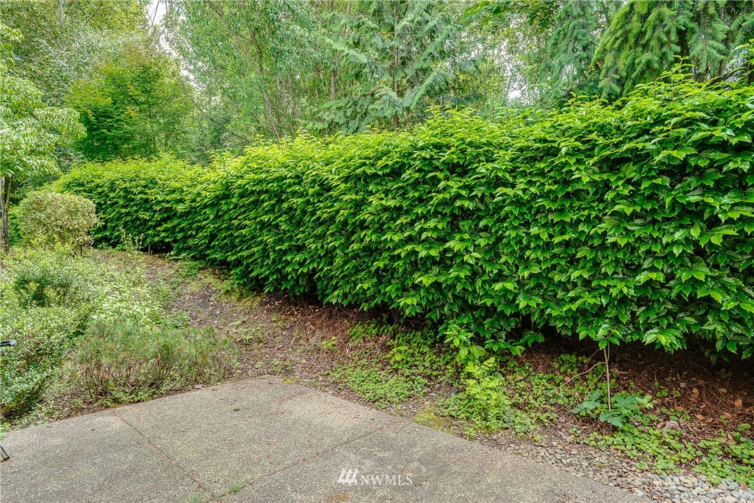 217 South 49th Street, Unit C Renton, WA 98055 - Photo 14 of 16