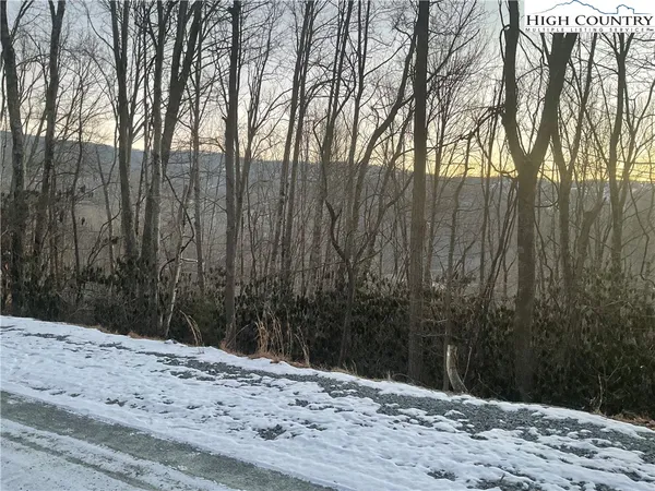a wooden fence covered with trees
