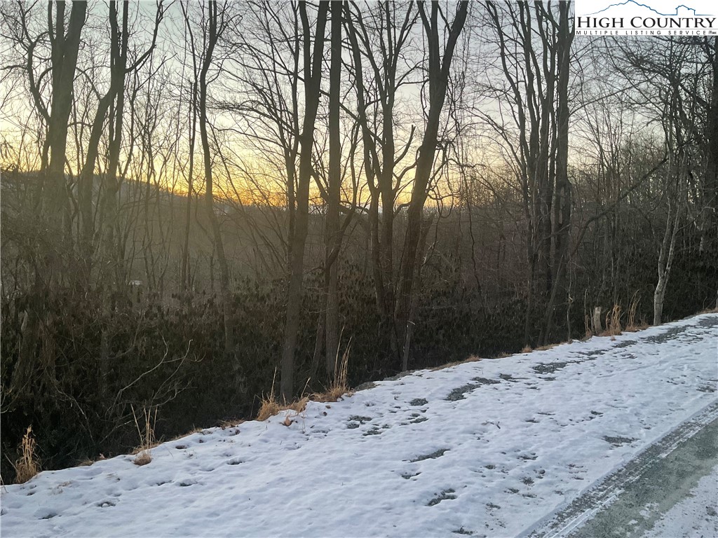 193 Rhododendron Drive Beech Mountain, NC 28604 - Photo 2 of 4