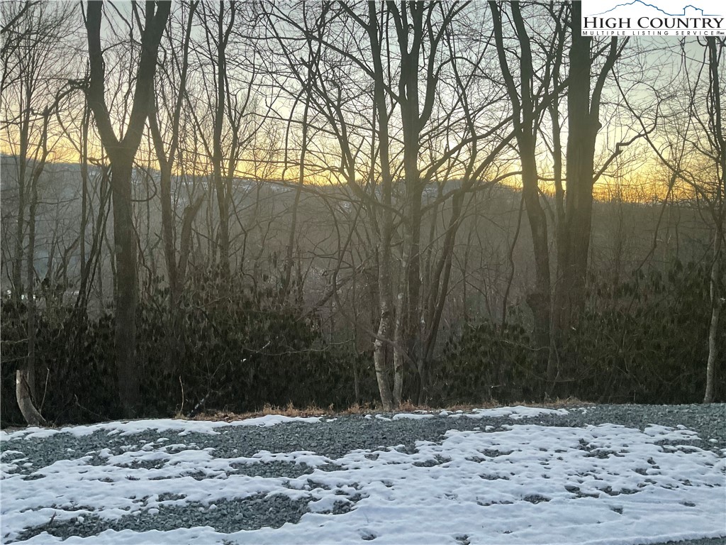 193 Rhododendron Drive Beech Mountain, NC 28604 - Photo 3 of 4