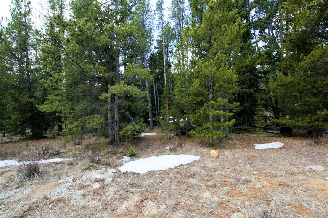 258 Co 665 Road Fairplay, CO 80440 - Photo 25 of 25 Gallery Image 25