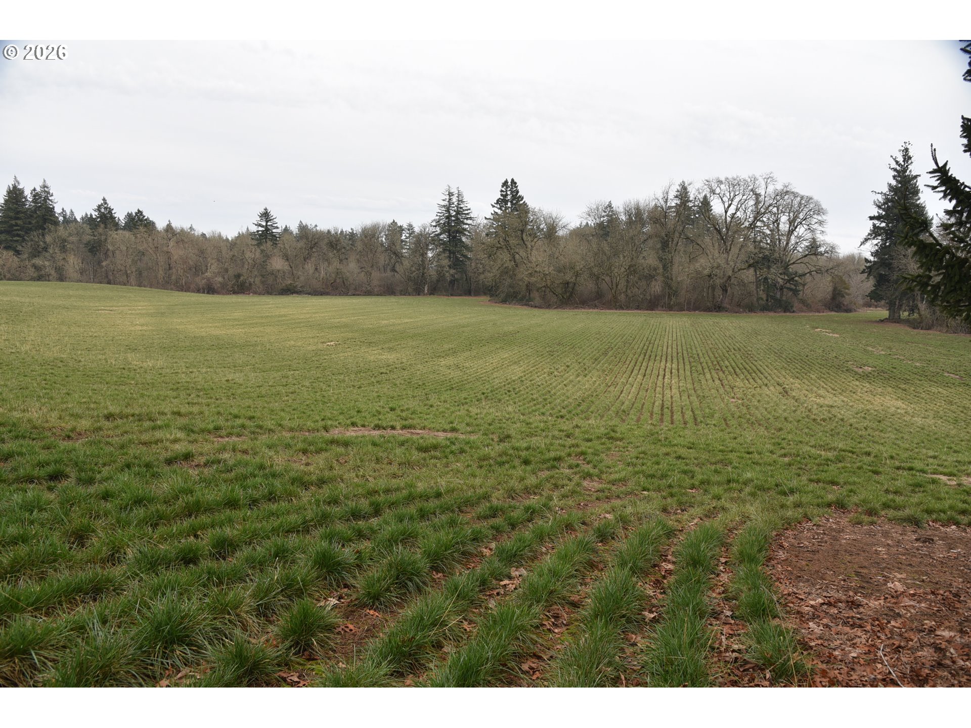 5440 Northwest Glencoe Road Hillsboro, OR 97124 - Photo 12 of 16