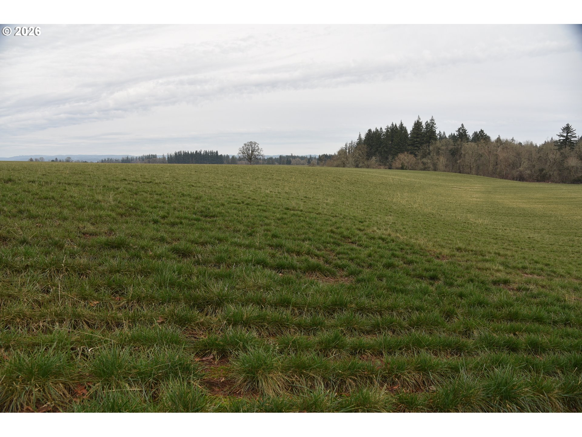 5440 Northwest Glencoe Road Hillsboro, OR 97124 - Photo 13 of 16