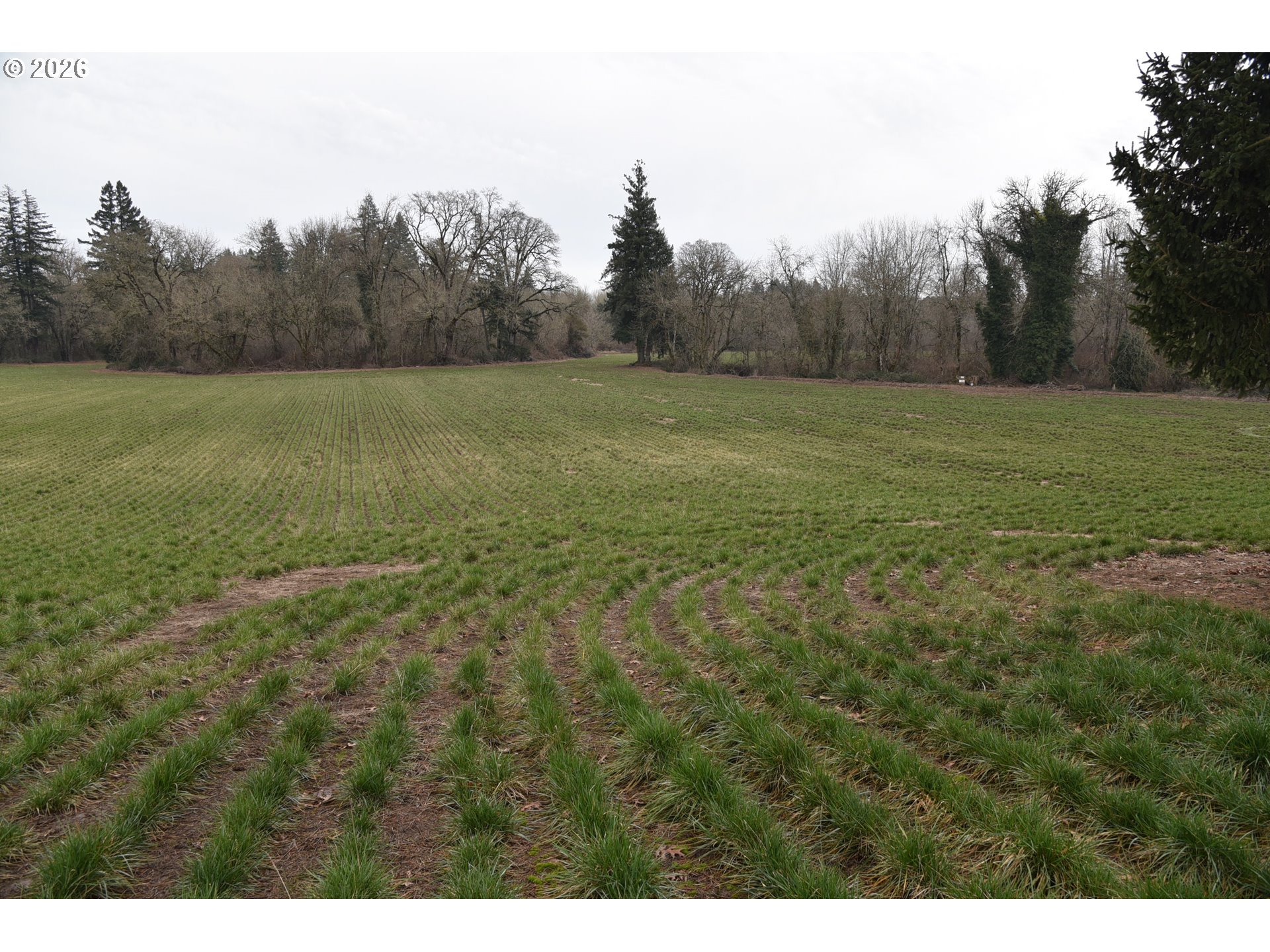 5440 Northwest Glencoe Road Hillsboro, OR 97124 - Photo 14 of 16