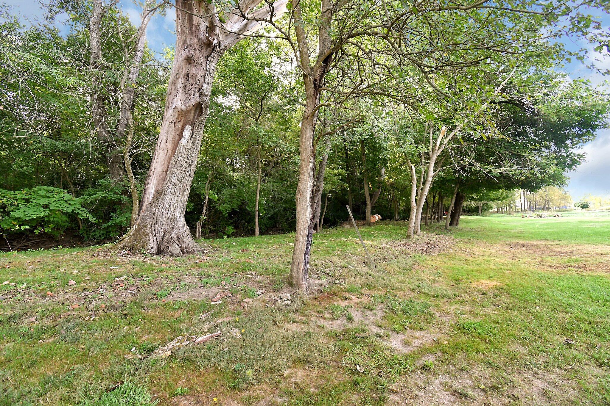 3417 Klondike Road Delaware, OH 43015 - Photo 51 of 61 Yard