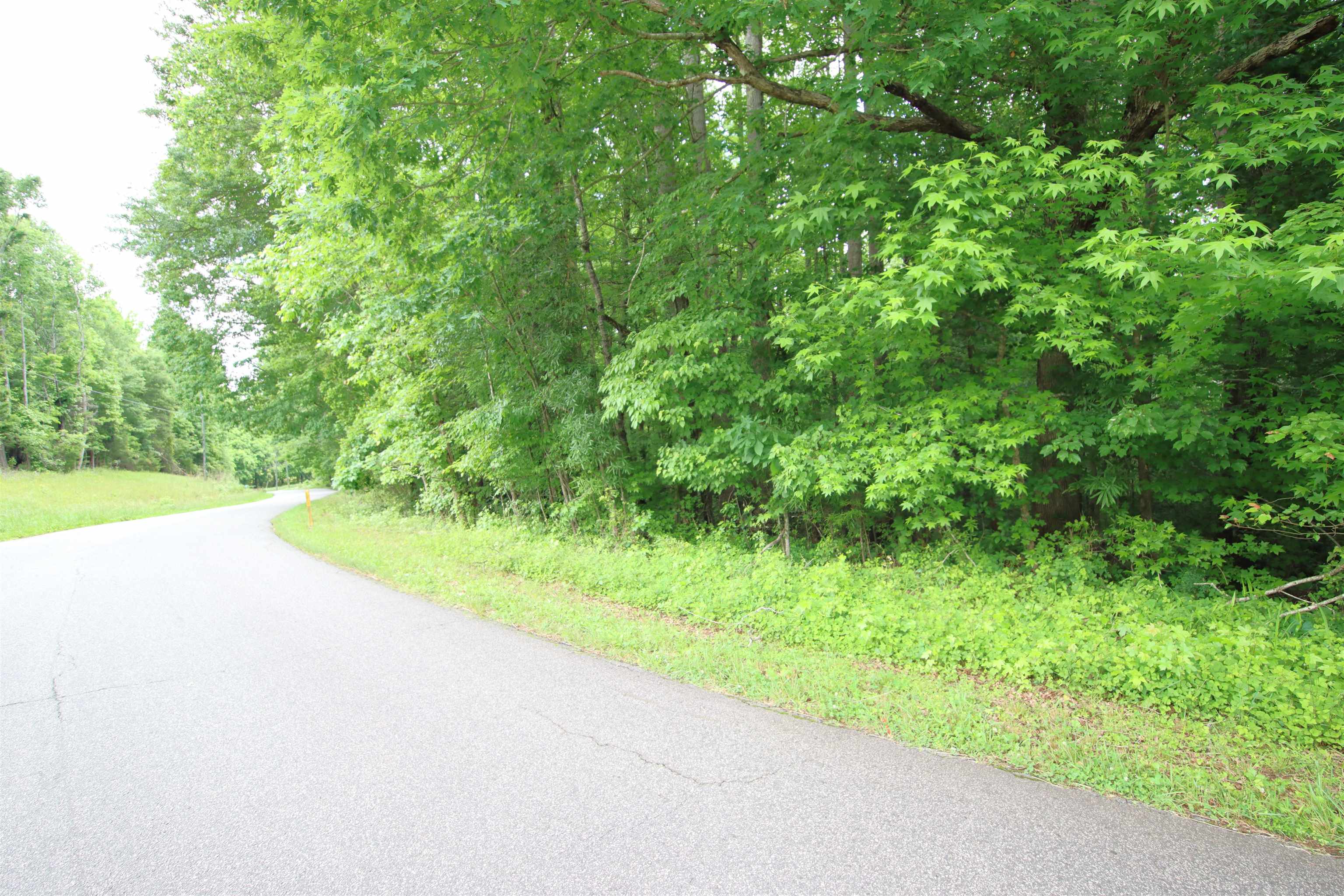 0 Ridge Road Wellford, SC 29385 - Photo 1 of 9 Gallery Image 1