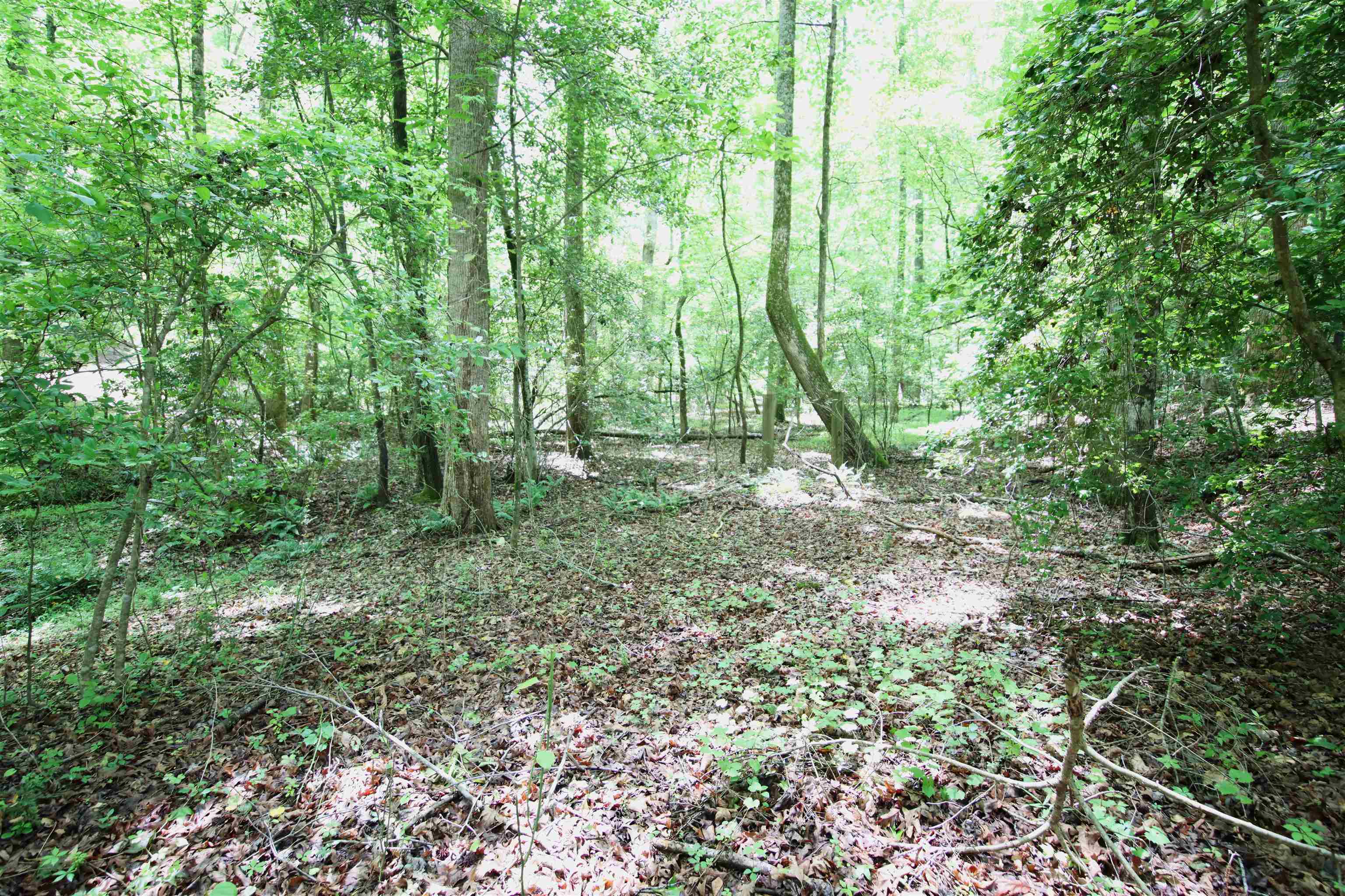 0 Ridge Road Wellford, SC 29385 - Photo 2 of 9 Gallery Image 2