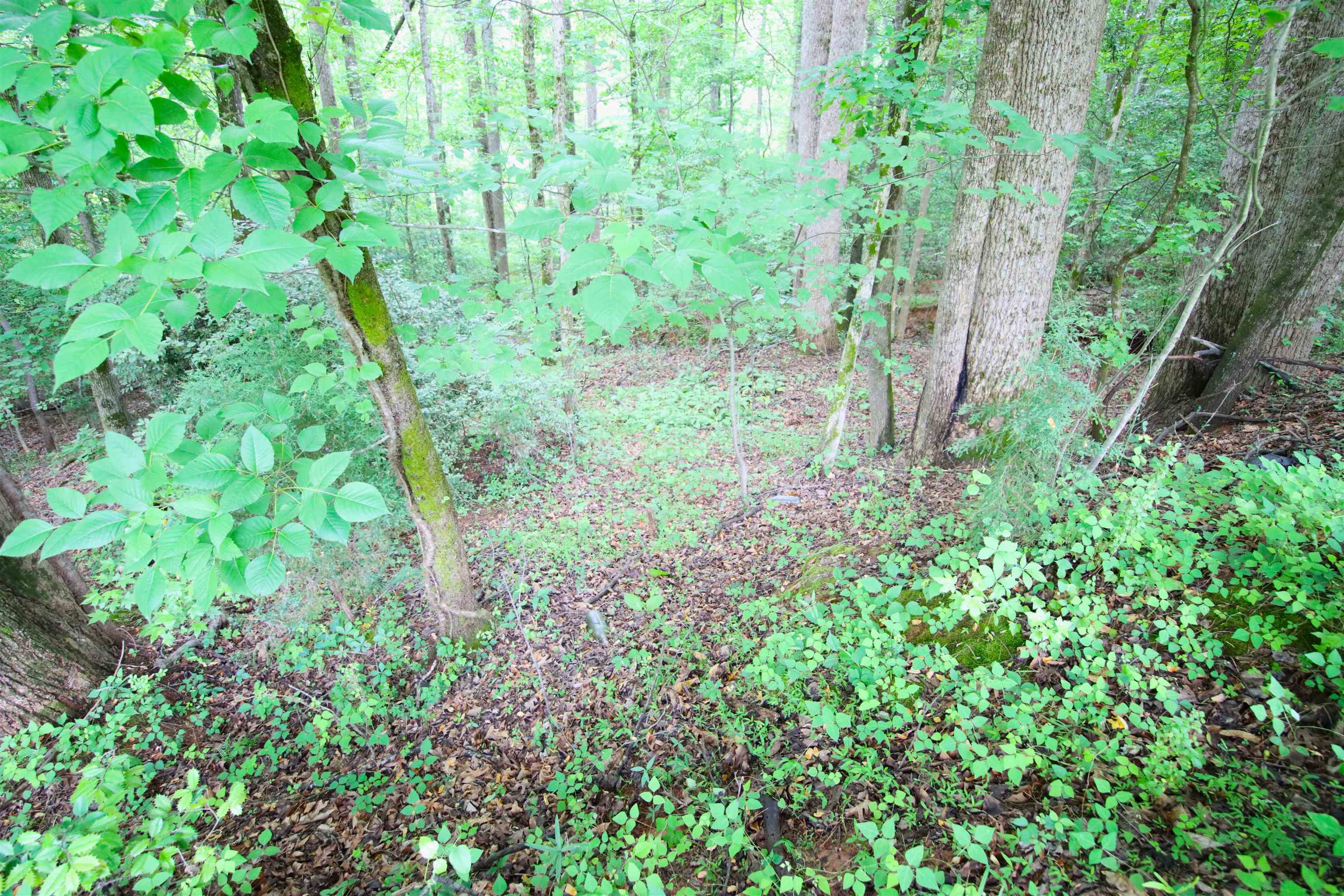 0 Ridge Road Wellford, SC 29385 - Photo 6 of 9 Gallery Image 6