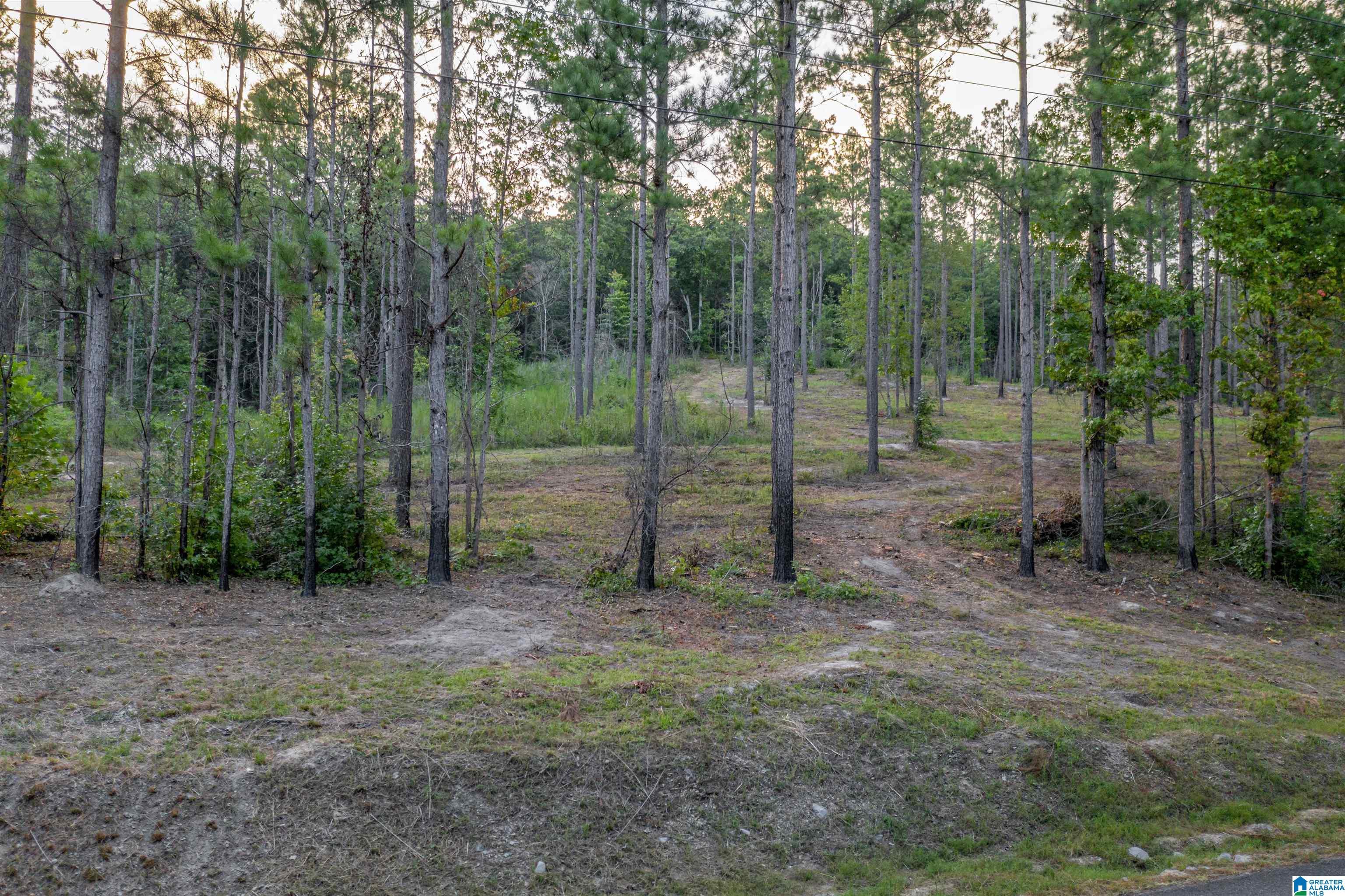 2735 Greensport Road Ohatchee, AL 36271 - Photo 3 of 10