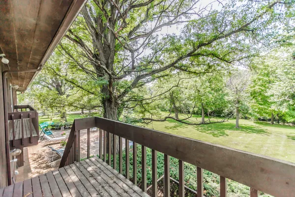 a view of a trees in a yard