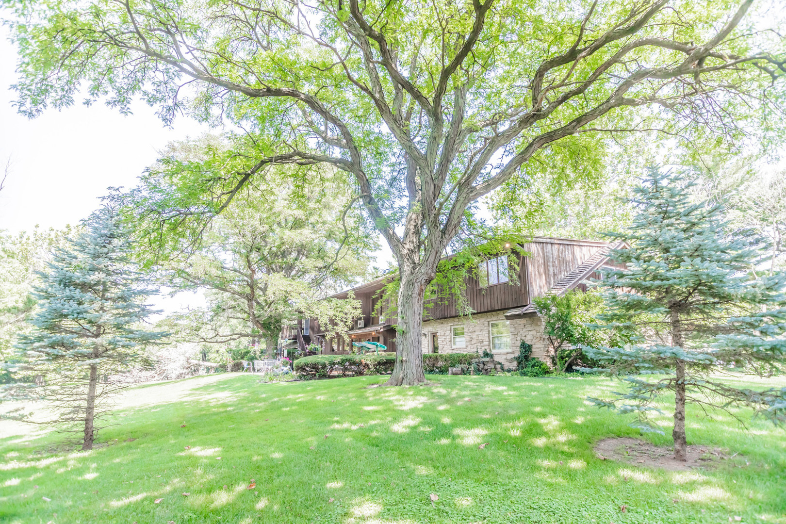 8080 Wolf Road Burr Ridge, IL 60527 - Photo 61 of 73 a view of a backyard with large trees